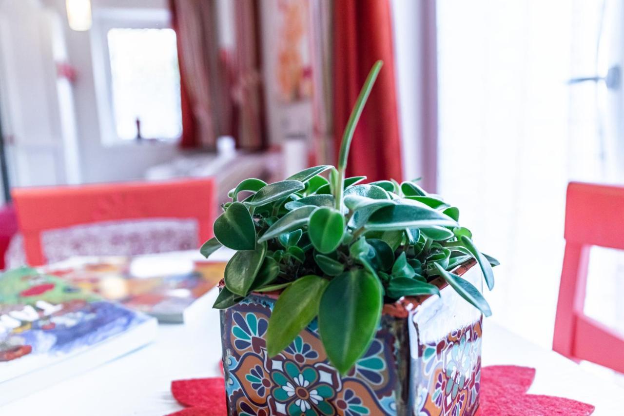 Bed and Breakfast Casa Novecento Feltre Esterno foto